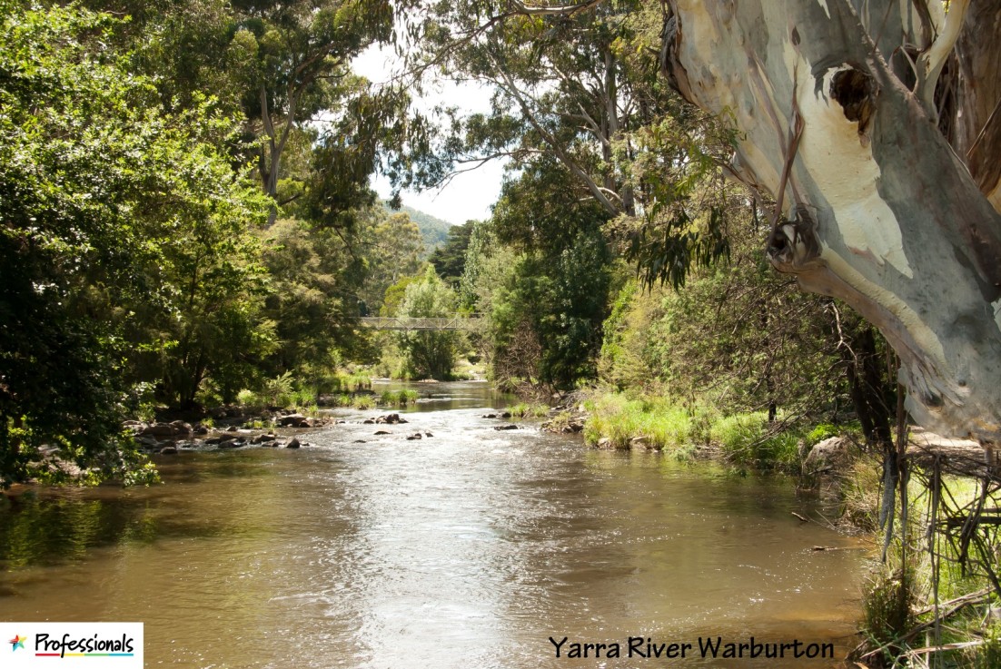Real Estate & More for the Upper Yarra Valley | Showcasing Yarra Valley